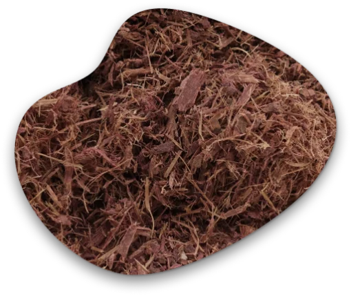 Mimosa Hostilis Wortelschors (500g)